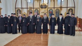 Седнице Светог Архијерејског Синода и Патријаршијског управног одбора у Даљу