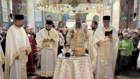 Епископ Иларион у Вазнесењској цркви у Жаркову